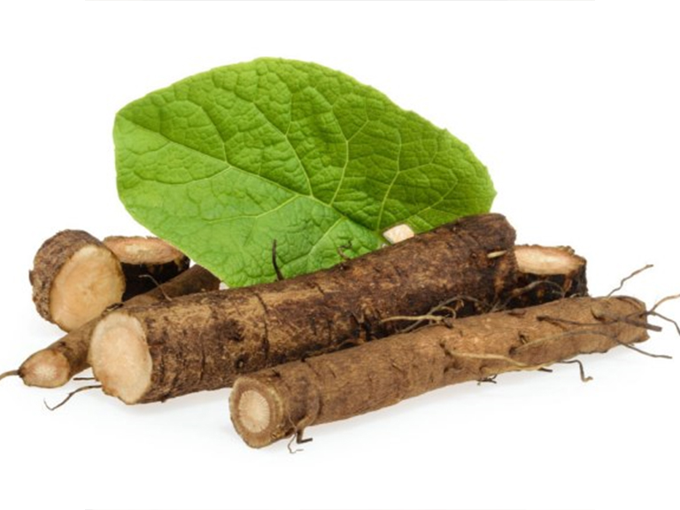 Trị mụn từ cây ngưu bàng có gì đặc biệt